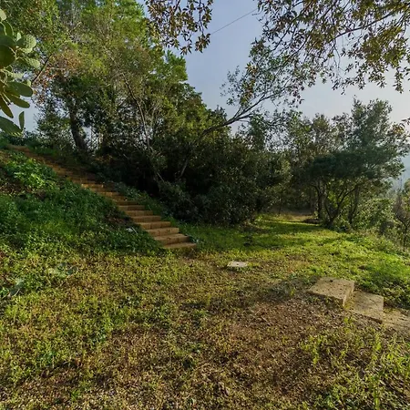 Elicriso Charme E Nature - Goelba Villa *