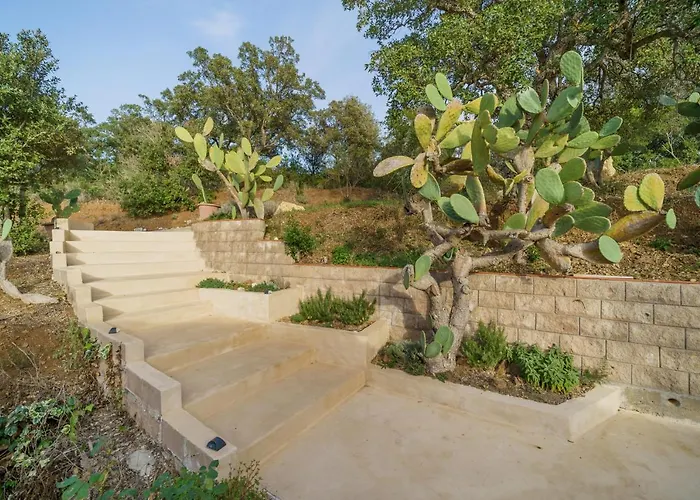 Elicriso Charme E Nature - Goelba